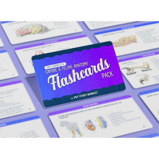 Canine & Feline Anatomy Flashcards