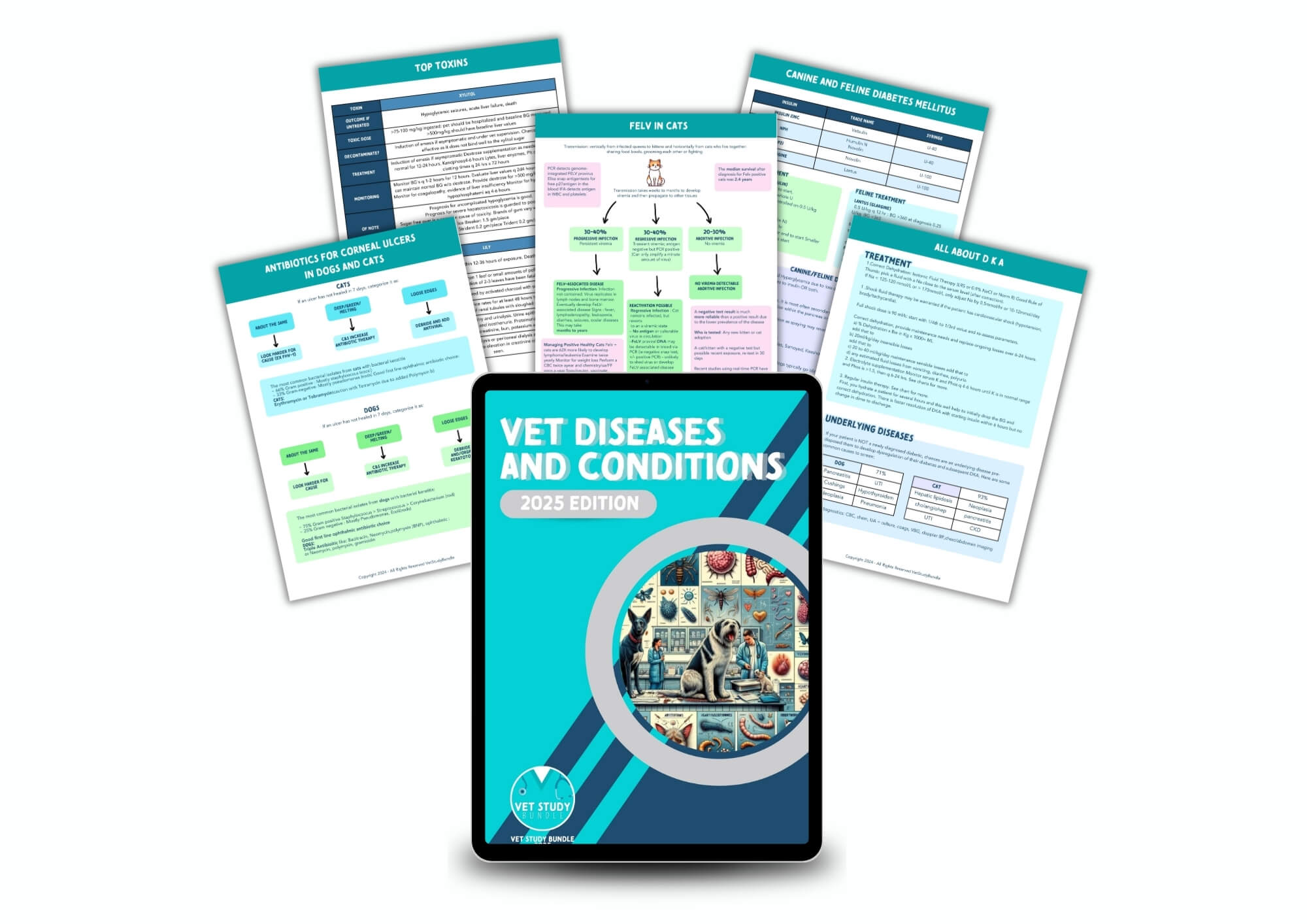 The Complete Vet Study Bundle