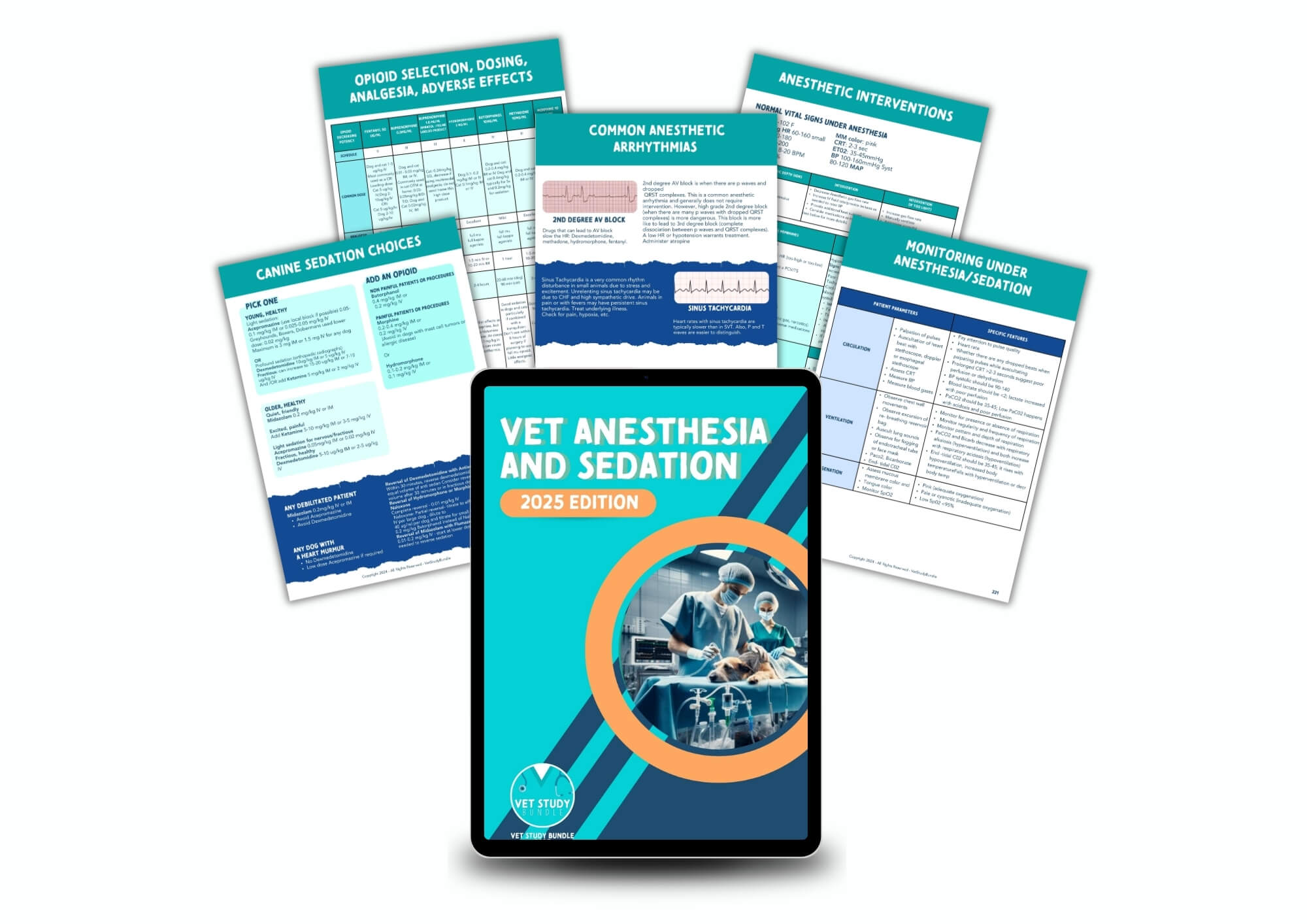 The Complete Vet Study Bundle